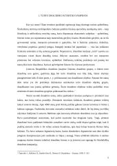 Turto draudimo sutartis 3 puslapis