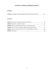 Viešųjų paslaugų administravimas Lietuvos savivaldybėse: situacija, problemos, perspektyvos 2 puslapis