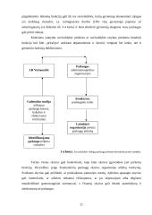 Viešųjų paslaugų administravimas Lietuvos savivaldybėse: situacija, problemos, perspektyvos 20 puslapis