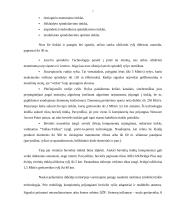Vietinio tinklo kūrimas 7 puslapis