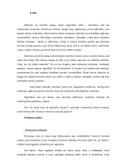 Kuo man nepatinka dabartinė mokykla? 2 puslapis