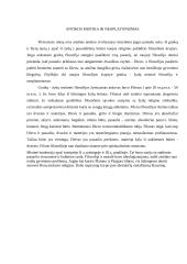 Antikos filosofija pagal epochas 10 puslapis