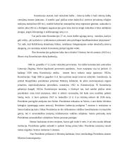 Keturių tarpukario Lietuvos Konstitucijų palyginimas 4 puslapis