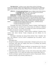 Komunikacinės elgsenos 2 puslapis