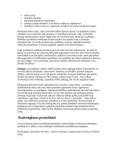 Mokslinio pranešimo struktūra ir ruošimas 2 puslapis