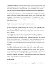 Prievarta prieš vaikus 4 puslapis