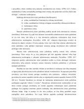 Administracinis teisės pažeidimas 15 puslapis