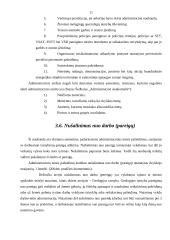 Administracinių nuobaudų rūšys 11 puslapis