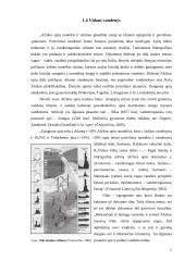 Afrikos klimatas 12 puslapis