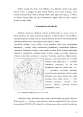 Afrikos klimatas 13 puslapis