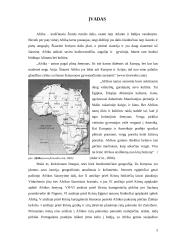 Afrikos klimatas 3 puslapis