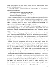 Atleidimas nuo bausmės ir jo taikymas teismų praktikoje 20 puslapis