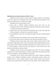 Baudžiamojo proceso principų samprata ir sistema 2 puslapis