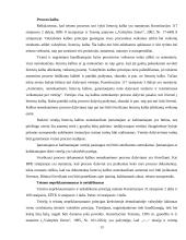 Baudžiamojo proceso principų samprata ir sistema 13 puslapis