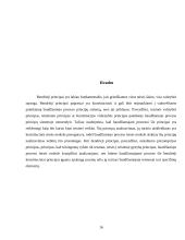 Baudžiamojo proceso principų samprata ir sistema 16 puslapis