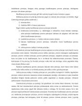 Baudžiamojo proceso principų samprata ir sistema 3 puslapis