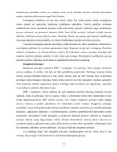 Baudžiamojo proceso principų samprata ir sistema 9 puslapis