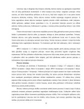 Baudžiamojo proceso principų samprata ir sistema 10 puslapis