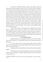 Bylos nagrinėjimas apeliacinės instancijos teisme 10 puslapis