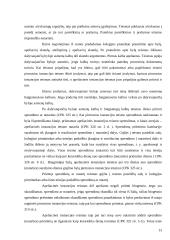 Bylos nagrinėjimas apeliacinės instancijos teisme 12 puslapis