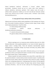 Bolonijos procesas – vieningos aukštojo mokslo erdvės kūrimas. Tikslai ir pasiekimai 17 puslapis