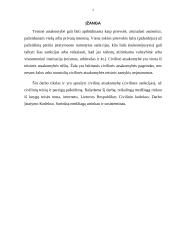 Civilinė atsakomybė (civilinės sankcijos) 2 puslapis