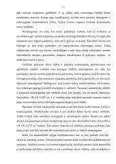 Civilinė atsakomybė (civilinės sankcijos) 11 puslapis