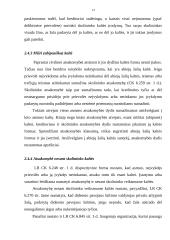 Civilinė atsakomybė (civilinės sankcijos) 13 puslapis