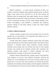 Civilinė atsakomybė (civilinės sankcijos) 16 puslapis