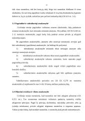 Civilinė atsakomybė (civilinės sankcijos) 17 puslapis