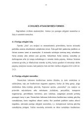 Civilinė atsakomybė (civilinės sankcijos) 19 puslapis