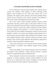 Civilinė atsakomybė (civilinės sankcijos) 3 puslapis
