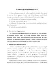 Civilinė atsakomybė (civilinės sankcijos) 6 puslapis
