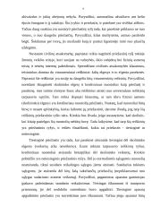 Civilinė atsakomybė (civilinės sankcijos) 8 puslapis