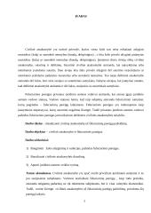 Civilinė atsakomybė ir fiduciarinės pareigos 2 puslapis