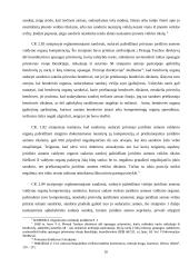 Civilinė atsakomybė ir fiduciarinės pareigos 10 puslapis