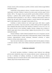 Civilinė atsakomybė už kitų asmenų padarytą žalą 16 puslapis