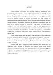 Civilinė atsakomybė už kitų asmenų padarytą žalą 3 puslapis