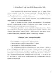 Civilinė atsakomybė už kitų asmenų padarytą žalą 4 puslapis