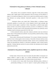 Civilinė atsakomybė už kitų asmenų padarytą žalą 8 puslapis
