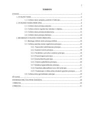 Civilinės teisės principai 2 puslapis