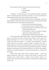 Civilinės teisės principai 11 puslapis