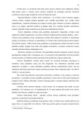 Civilinės teisės principai 12 puslapis