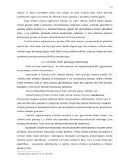 Civilinės teisės principai 13 puslapis