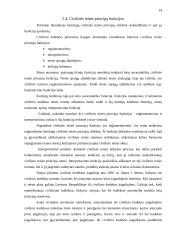 Civilinės teisės principai 14 puslapis