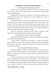 Civilinės teisės principai 16 puslapis