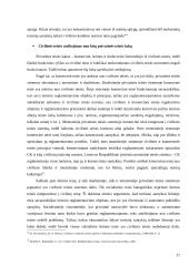 Civilinės teisės ribos ir jų nustatymo reikšmė 16 puslapis