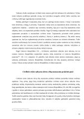 Civilinės teisės ribos ir jų nustatymo reikšmė 18 puslapis