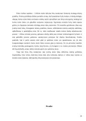 Civilinės teisės ribos ir jų nustatymo reikšmė 19 puslapis