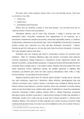 Civilinės teisės ribos ir jų nustatymo reikšmė 6 puslapis